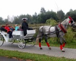 ���� �������������� ������ �������� 04.09.2015 3