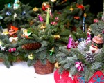 ���������� ������� 26.12.2015 7