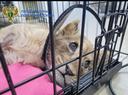 ����������� ��������������� ����������� �. ������ ������������ �������� ���������� � �������� ��������� � ����� ��������