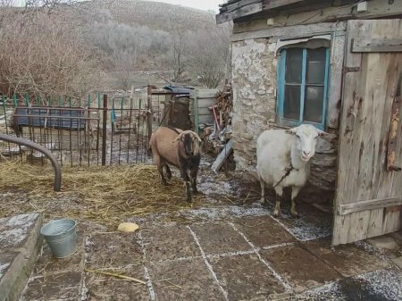 ������������ ������� 