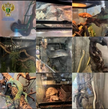 ���������������� ��������������� �� ���������� � �������� �������� ����