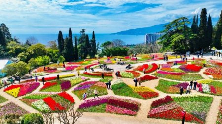 ������������� �����